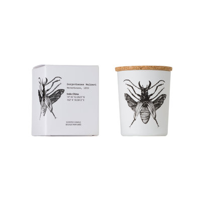 Bougie dans un bocal x 2,95 po