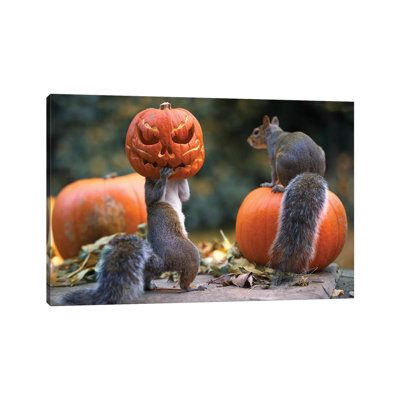 «The Pumpkin Shot Reproduction» par Max Ellis - photographie sur toile tendue