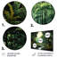 Ferns Plant Serene Reflections II - Ensemble de décorations murales florales en métal
