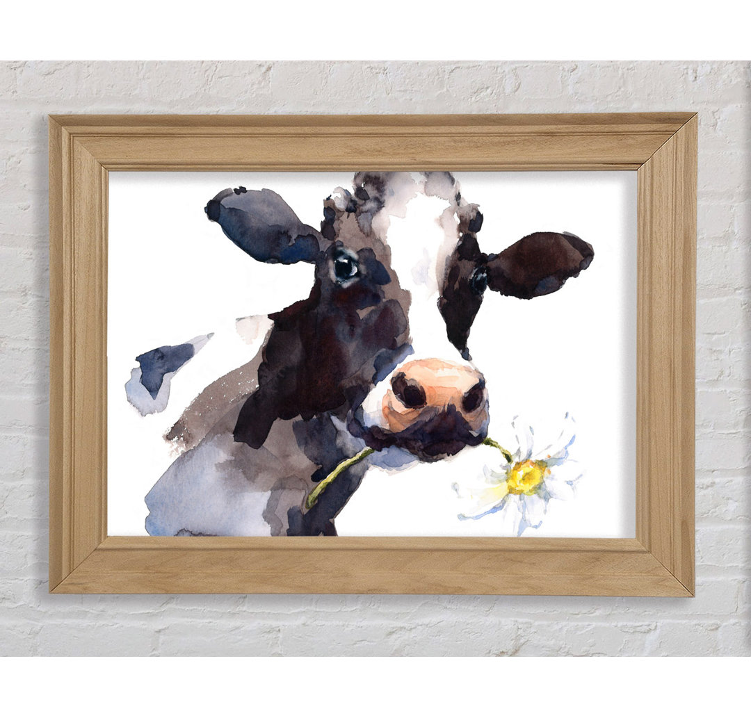 Daisy The Cow - Einzelner Bilderrahmen Kunstdrucke