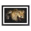 Two Lions - Picture Frame Graphic Art-62807934-62807940