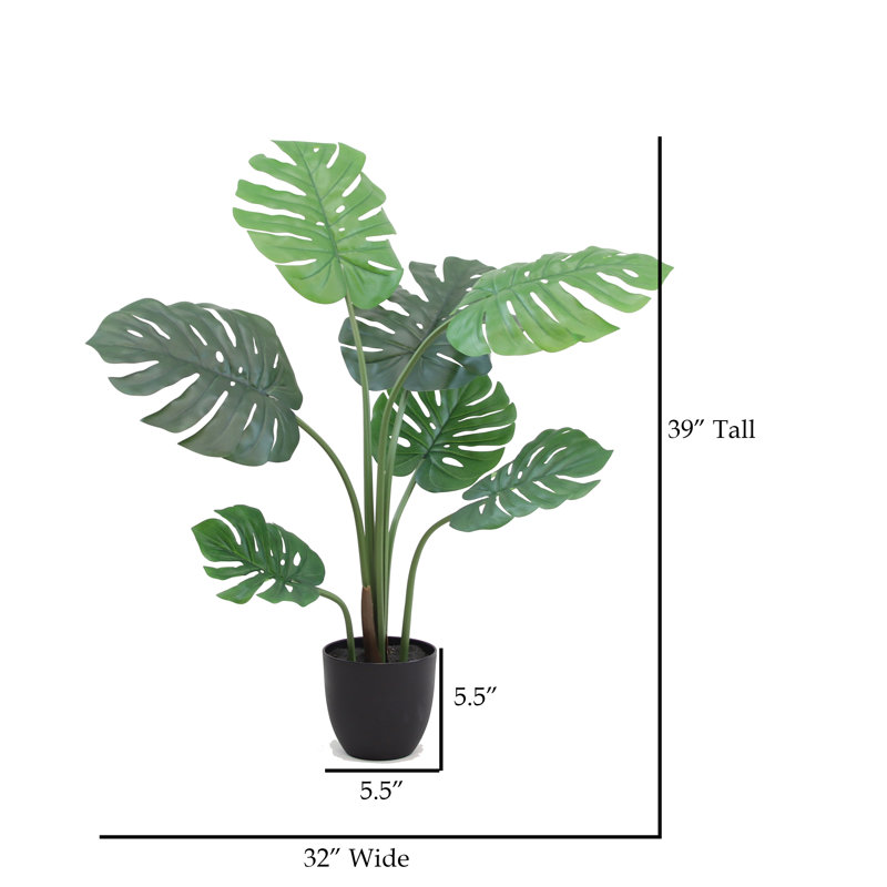 Arbre à fleurs 39 po Monstera