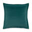 Renue Aurora Square Pillow Cover & Insert