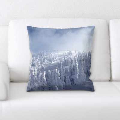 Microsuede Reversible Throw Pillow
