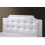 Abrams Upholstered Bed-1166413181-1166413177