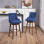 Luthando Swivel Upholstered Counter Stool with Solid Wood Frame-265640307