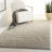 Bertjan Shag Performance Solid Color Rug-19817628