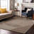 Premium Machine Washable Corum AMF1001 Circles Rug-1683867792