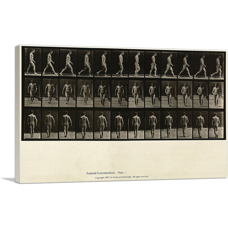 «Man Walking Locomotion Plate 1 1887» par Ead vêtementsd Muybridge, impression sur toile tendue