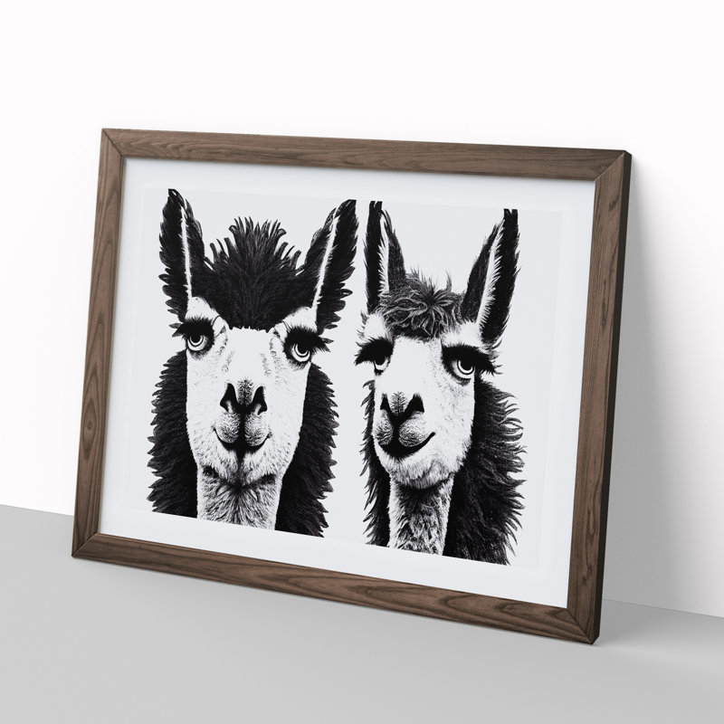 Flawless Llamas 1 Piece Single Picture Frame Wall Art, 25cm H x 34cm W x 2cm D, Walnut Framed