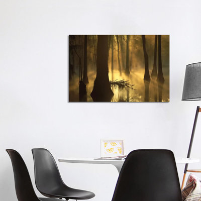 Bald Cypress Grove in Freshwater Swamp at Dawn, Lake Fausse Pointe, Louisiana I 1 Piece Wrapped Canvas Wall Art