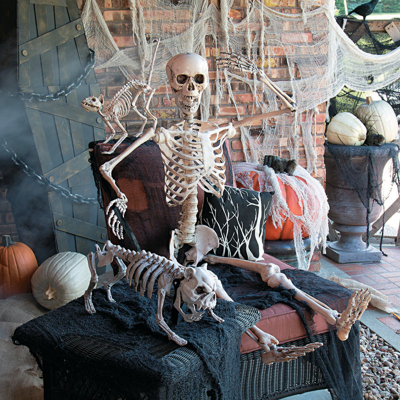 Life-Size Posable Skeleton Halloween Decoration in Plastic
