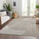 Premium Machine Washable Corum AMF1001 Circles Rug