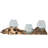 Diannia Glass Table Vase - Set of