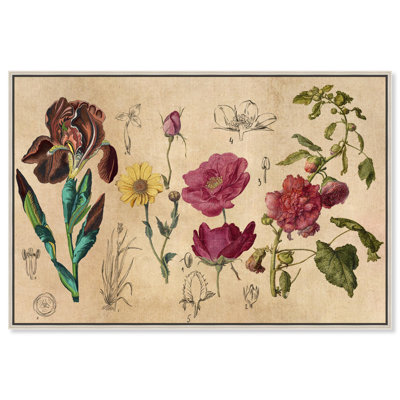 «Blossoming Florals» par Art Remedy
