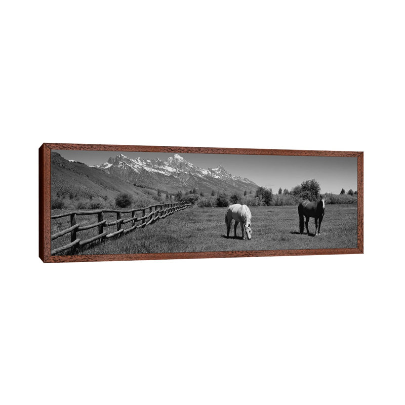Horses And Teton Range Grand Teton National Park WY by Panoramic Images - Panoramic Gallery-Wrapped Canvas Giclée on Canvas