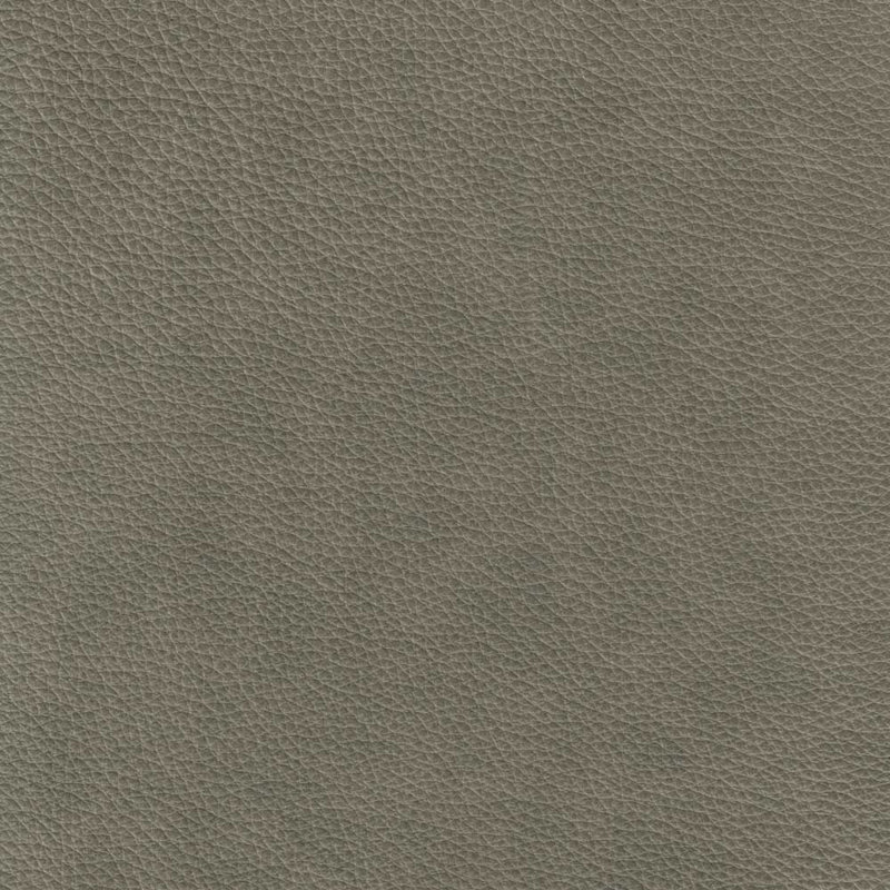 Canapé en cuir Rhyannon, Cuir véritable Solana Tide