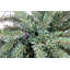 180cm H Lighted Artificial Christmas Tree