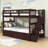 Doresha Kids Bunk Bed with Trundle-778226703-779081835