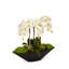 Orchid Floral Arrangement in Metal Planter-1631569097