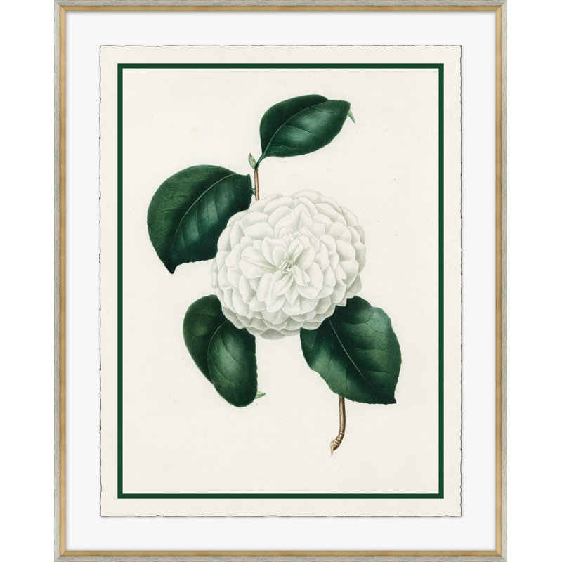 «Flora VI», reproduction de cadre photo sur papier