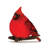 LED Cardinal Bird Wall Hanging (Set of 2)