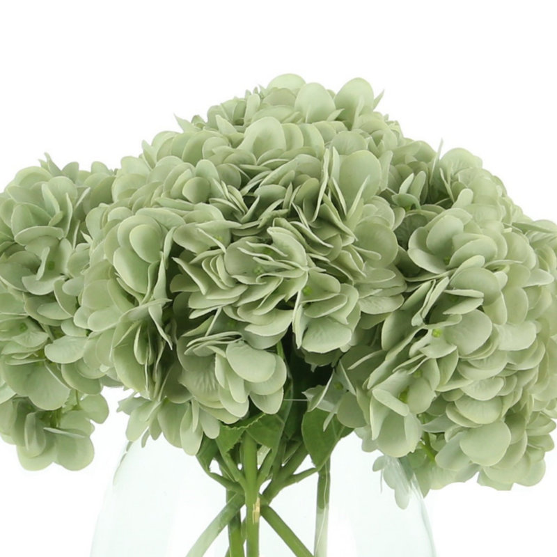 Hortensias en vase, Écume de mer
