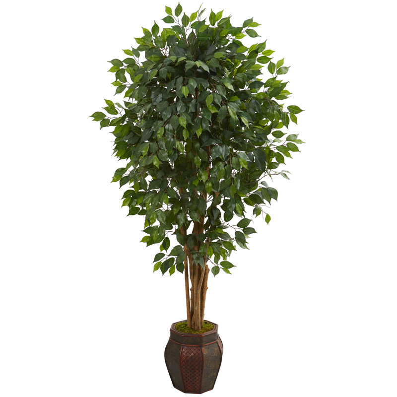 72 " H Faux Ficus Tree