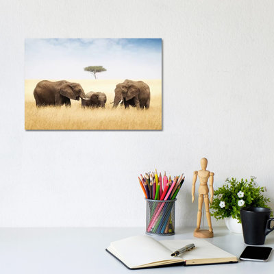 Three Elephant In Tall Grass In Africa 1 Piece Wrapped Canvas Wall Art