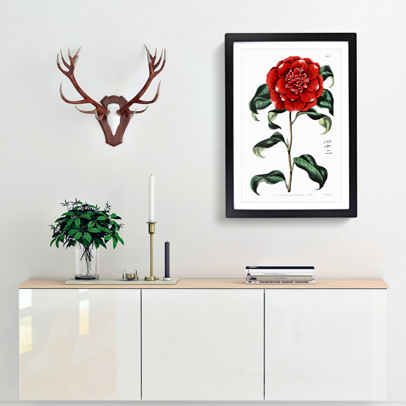 Crimson Camellia Flower - Framed Print, 48cm H x 36cm W x 2cm D, Black Framed