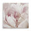 Wallach " Intimate Blush I "-938873230-885566802
