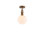 1 - Light Semi Flush Mount