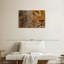 Lion barbare Brampt-107681447