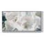 Botanical Series-CECXLIV- Toile tendue avec châssis tendue, prête à être accrochée-474458213-474458220