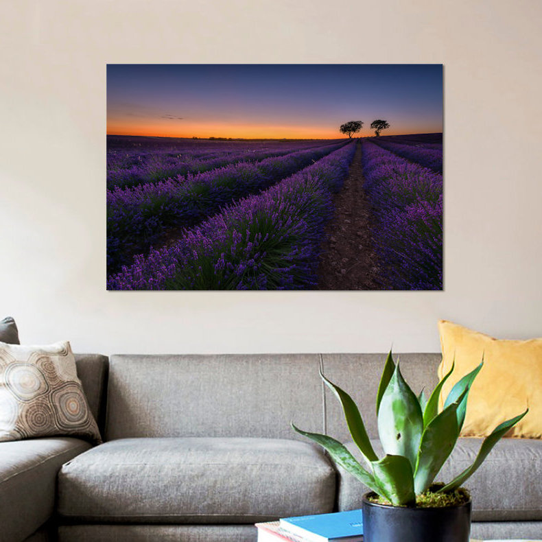 «Lavender Lines», reproduction de photo sur toile, H 18 po x l 26 po x P 1,5 po, Pas de tapis, Toile tendue