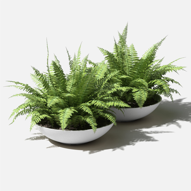 Pot à fleurs Pure Series Lane, H 6 po x l 24 po x P 24 po, Blanc, Ensemble de 2