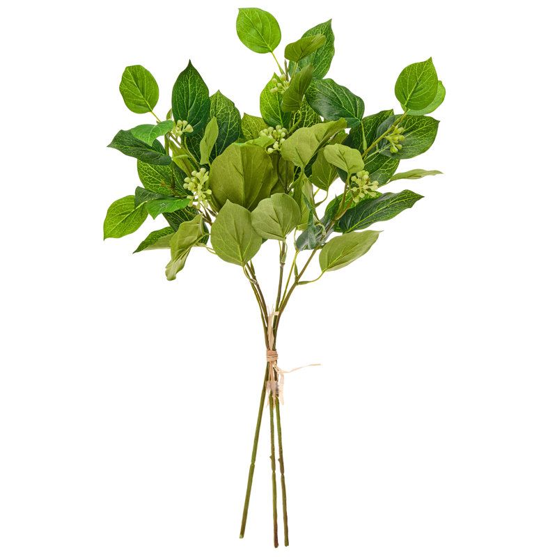 19" Seedling Beech Greenery Bundle, Green
