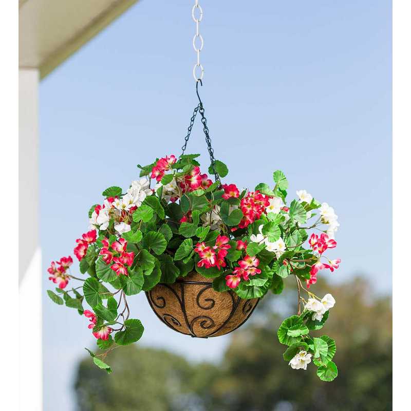 Fausse plante à fleurs en panier Everlast