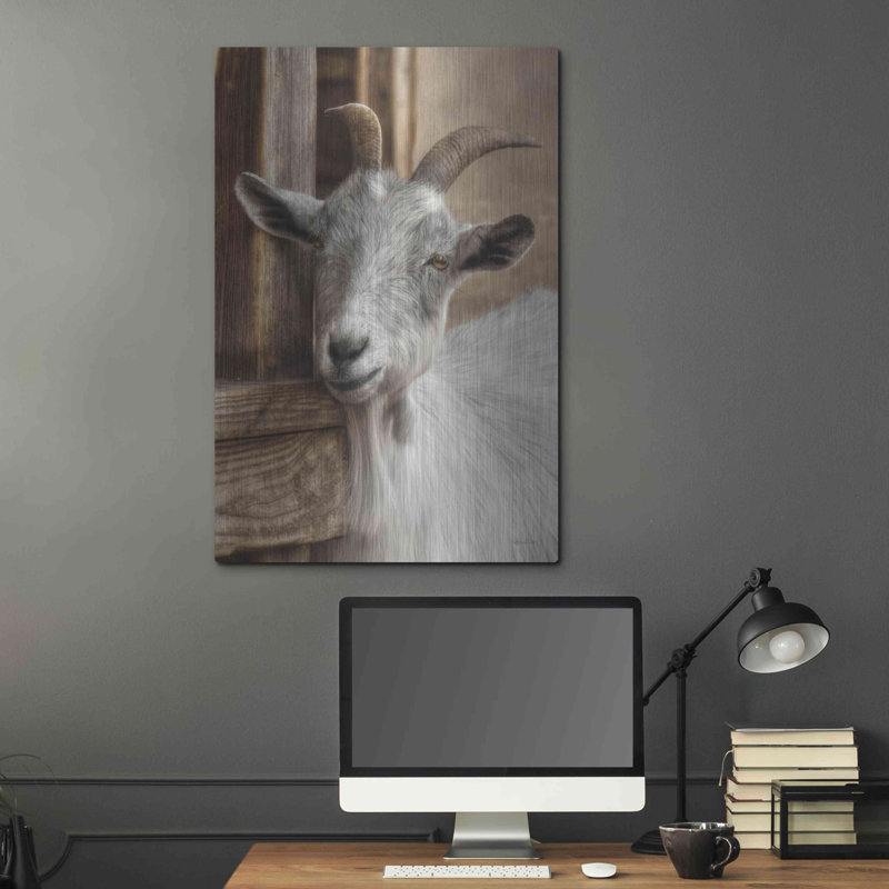«Grey Goat» par Lori Deiter, H 36 po x l 24 po