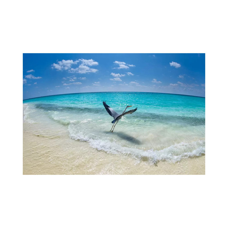 Take-Off by Roberto Marchegiani - Wrapped Canvas Gallery-Wrapped Canvas Giclée, 20.32 cm H x 30.48 cm W