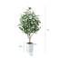 Ficus artificiel George, verdure artificielle protégée contre les rayons UV avec une énorme base décorative pour l'intérieur et l'extérieur-2074737957-2074737956