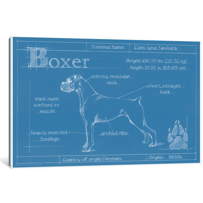 «Blueprint of a Boxer», reproduction d'art sur toile