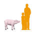 Statue de bébé cochon debout taille réelle