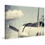Ryan Hartson-Weddle - Wrapped Canvas Print-20254452