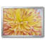 Blooms III, reproduction d'art sur toile-153863358-153863353