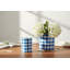 Porcelain Round Planter Pot Blue Checker