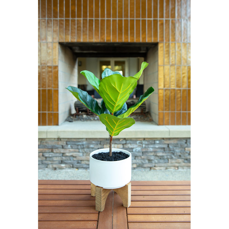 23'' Faux Fiddle Leaf Fig Tree in Ceramic Planter