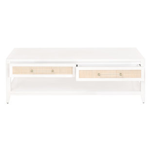 Table basse avec rangement frame