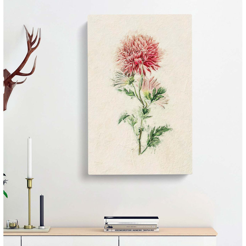 Illustration of Pink Chrysanthemums - Wrapped Canvas Painting Print, 60cm H x 40cm W x 3cm D