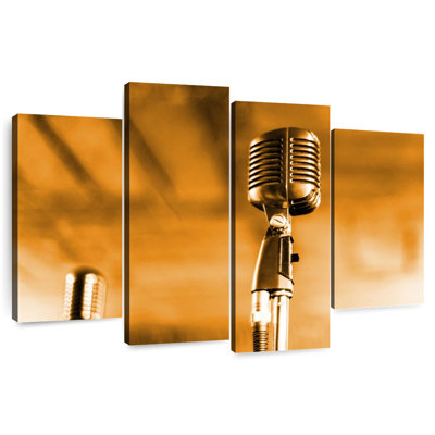 Concert Microphone